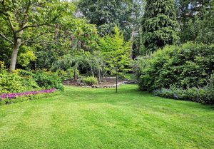 Optimiser l'expérience du jardin à La Chapelle-Hullin